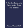 A Psychotherapist's Sanctuaries from Soul-Sadness