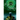 The Sixth Raven