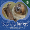 Teaching Tornero: The True Story of a Sloth Superstar