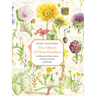 The Album of Plant Families: An Illustrated Exploration of Nature's Beauty and Bounty