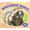 Raccoon Dogs