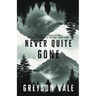 Never Quite Gone: An MM Romance