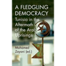 A Fledgling Democracy: Tunisia in the Aftermath of the Arab Uprisings
