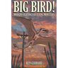 Big Bird! - Modern Sightings of Flying Monsters