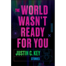 The World Wasn't Ready for You: Stories