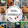 Hello, Animals!: A Picture Book to Learn Animal Names and Build Vocabulary