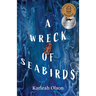 A Wreck of Seabirds: Award-winning Australian gothic fiction novel