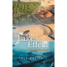 The Lake Effect: A Lake Michigan Mosaic