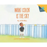 What Color is the Sky