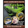 Geckos: Photos and Fun Facts for Kids
