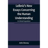 Leibniz's New Essays Concerning the Human Understanding: A Critical Exposition