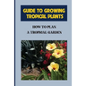 Guide To Growing Tropical Plants: How To Plan A Tropical Garden: Plant Types For Tropical Garden