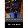 Why Trump Got Elected!: Trump was and is the normal person's answer to deep anti-establishment anger and discontent