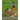 Animal Book