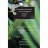 Chameleon Chimera: an Anthology of Florida Poets