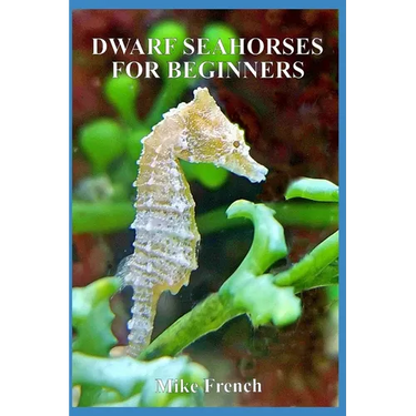 Dwarf Seahorses For Beginners