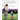 Care Planning in Children and Young People's Nursing