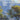 Anna Althea Hills: Paintings