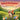 Sunrise Surprise: A Story of Friendship and the First Light of Spring