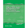 Stages of Abuse, Neglect, and Dependency Cases in North Carolina: From Report to Final Disposition, 2025 Edition