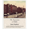 The Insurrection in Dublin