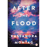 After the Flood