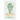 Christmas Cactus