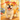 Koa The Friendly Dog
