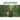 Amazon Explorers