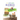 Think. Achieve. Succeed Business Planner for Kids