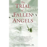 The Trial of Fallen Angels: A Thriller
