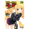High School DXD, Vol. 14 (Light Novel): Mages of Career Counselling