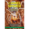 Camel Spider: A Camel Spider Pet Owner's Guide