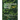 Fundamentals of Plant Biology: Biology Lab Manual