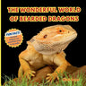 The Wonderful World of Bearded Dragons: Interesting Facts About Bearded Dragons