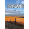 A Gathering of Kestrels