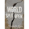 World Split Open