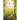 Pathway to Heaven