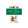 The Tale of Peter Rabbit and Friends - A Stage Play