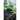soil