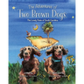 The Adventures of Two Brown Dogs: The Lovely State of South Carolina