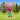 Troy the Tree Guy!: Growth, Selection, Planting, Care