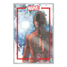 The Marvel Portfolio of David Mack -- Daredevil: Daredevil
