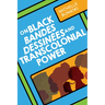 On Black Bandes Dessinées and Transcolonial Power