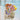 Memory Garden Series Pet Sticker Pack - Waterproof Decor