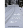 Water Under Snow: Poems