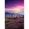 DEW DROPS From HEAVEN: Discovering God's Refreshment In The Wilderness Of Incarceration