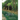 Tropical Rainforests