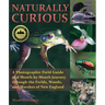Naturally Curious