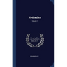 Hydraulics; Volume 1